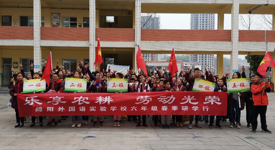 桾鑫国际理财