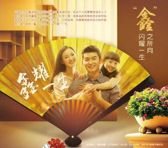 桾鑫国际理财
